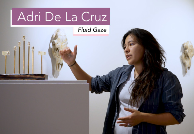 Fluid Gaze - Artist Talk: Adri De La Cruz exhibition image