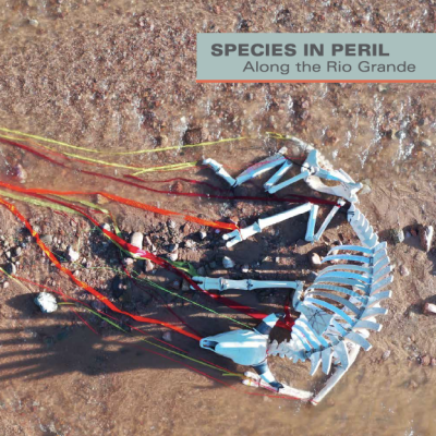 Species in Peril Along the Rio Grande Exhibition Catalog item image